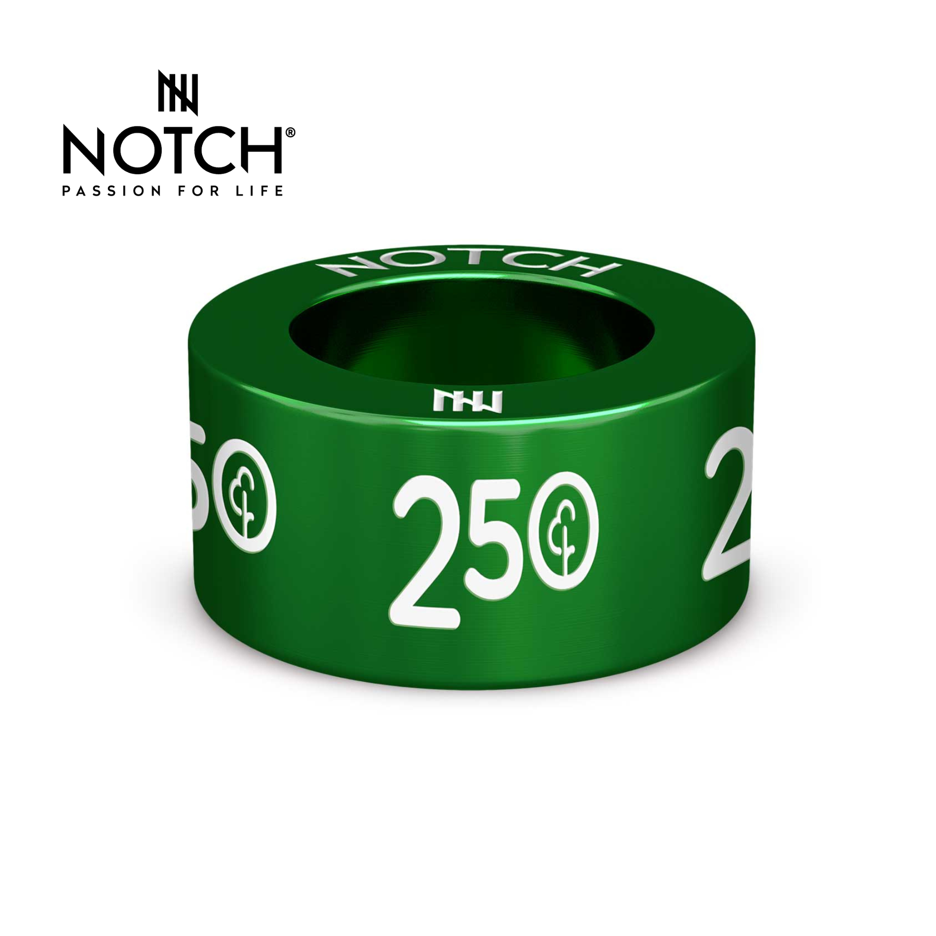 parkrun Milestone NOTCH Charm Run/Walk 250