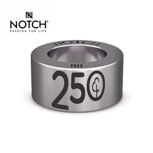parkrun Milestone Steel NOTCH Charm Run/Walk 250