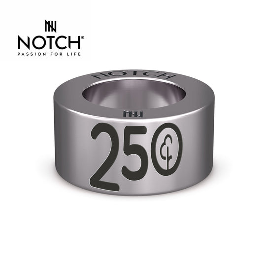 parkrun Milestone Steel NOTCH Charm Run/Walk 250