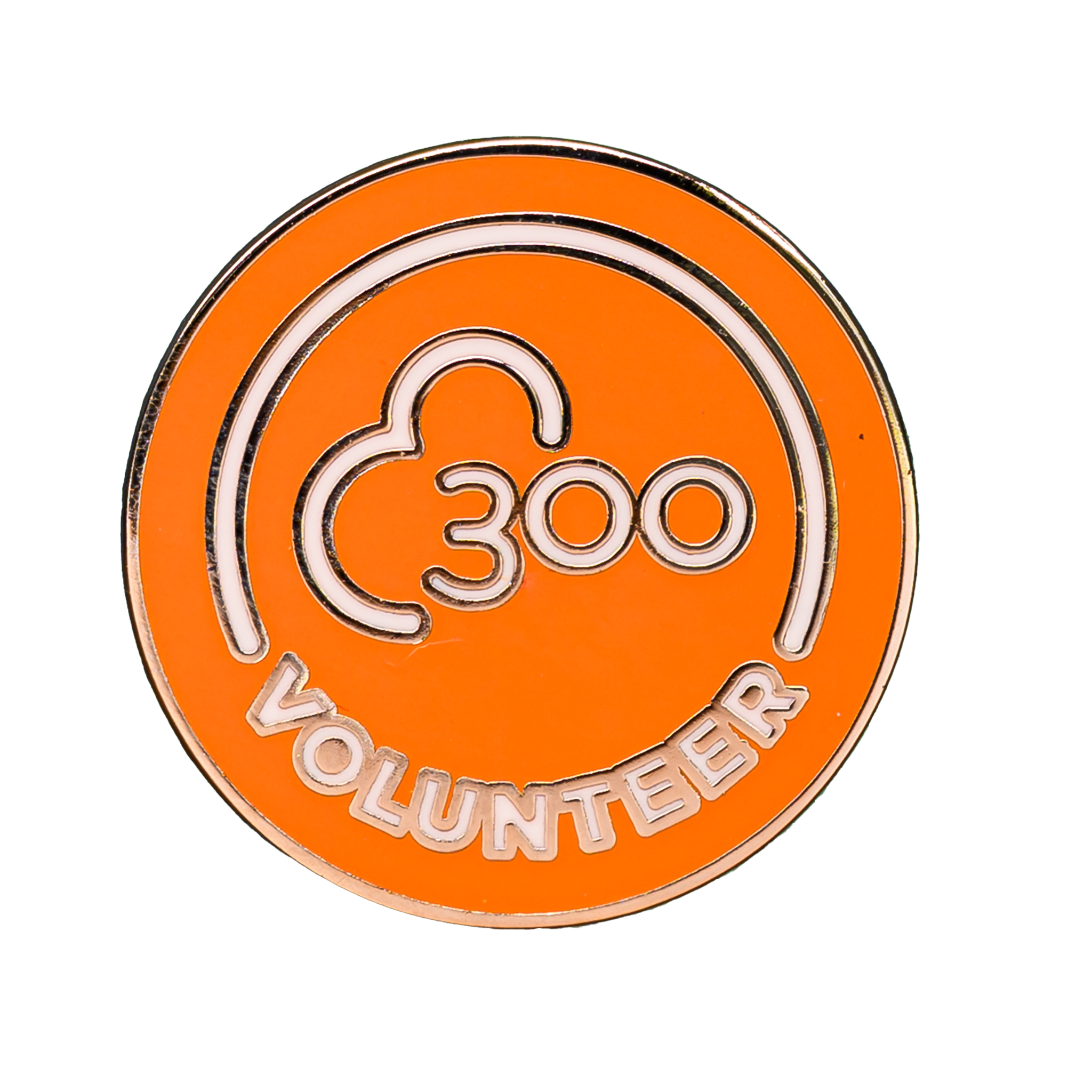 Volunteer 300 Pin Badge