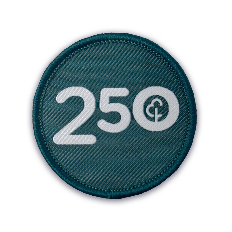 Run/Walk 250 Milestone Woven Patch