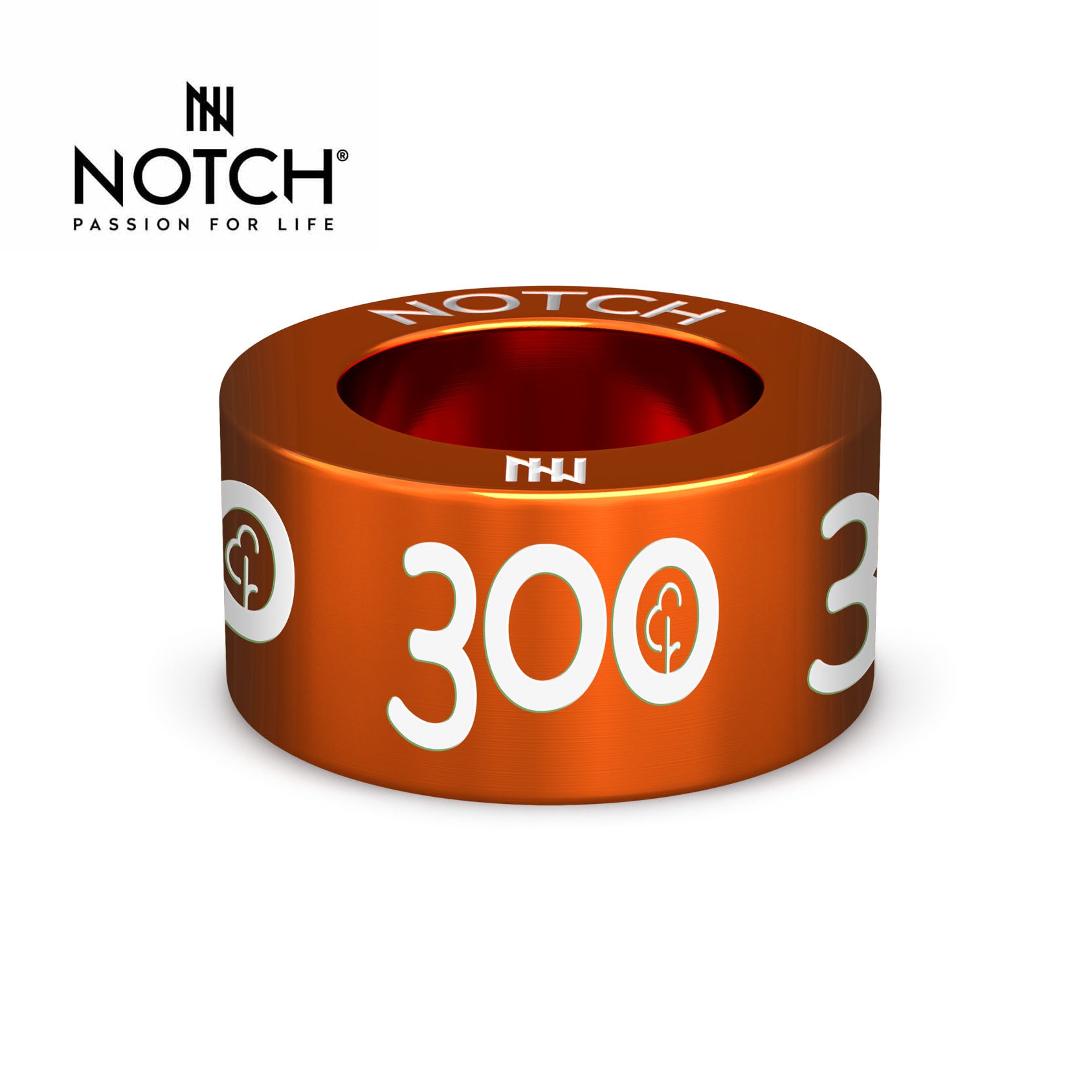 parkrun Milestone NOTCH Charm Run/Walk 300