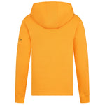 parkrun Men's Collegiate Logo Hoodie