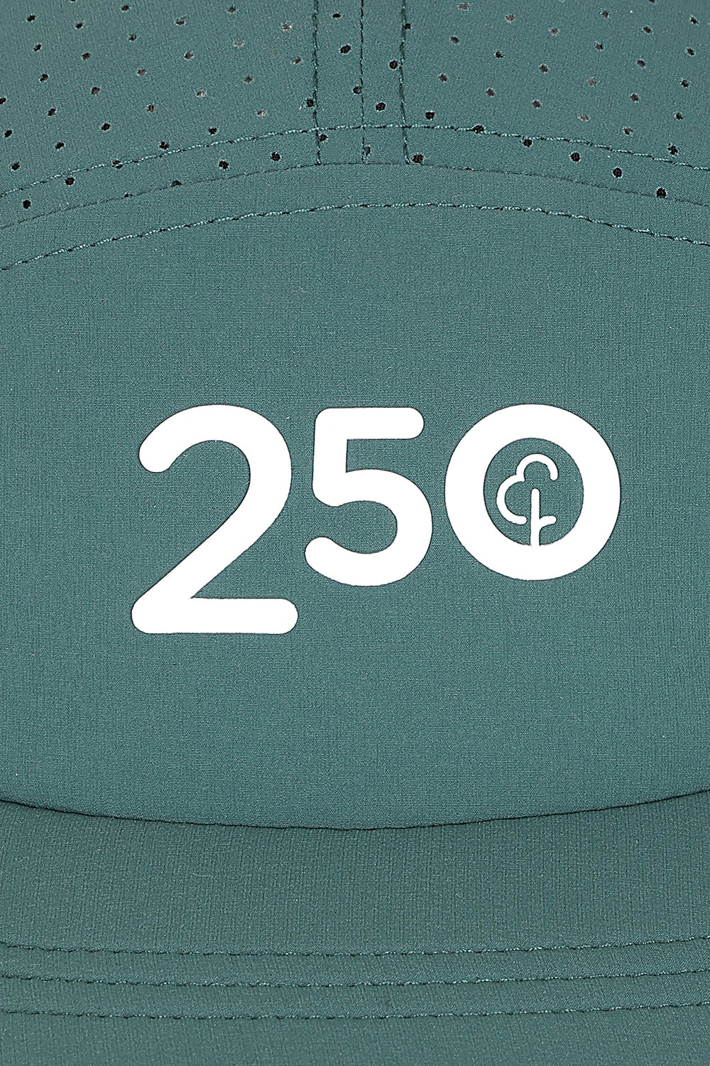 parkrun Run/Walk 250 Milestone Cap