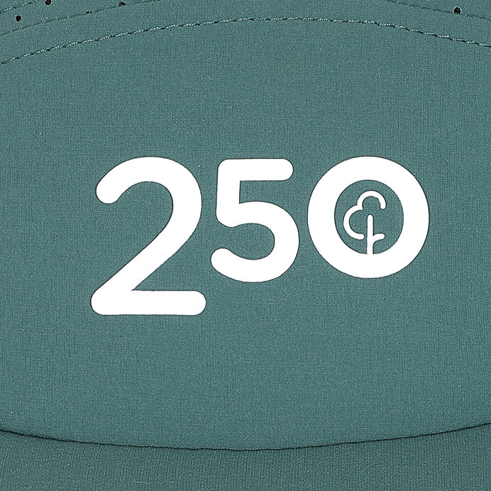 parkrun Run/Walk 250 Milestone Cap