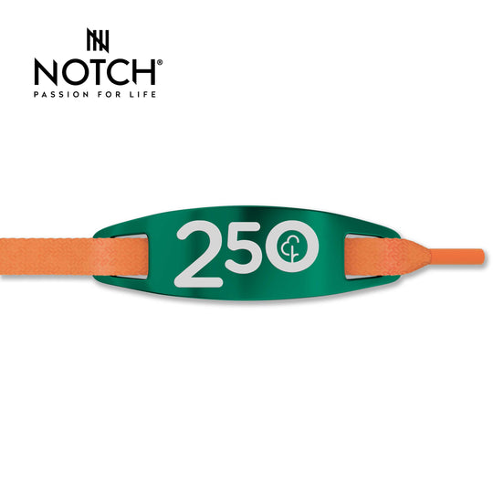 parkrun Milestone Run/Walk 250 NOTCH Lace Tag